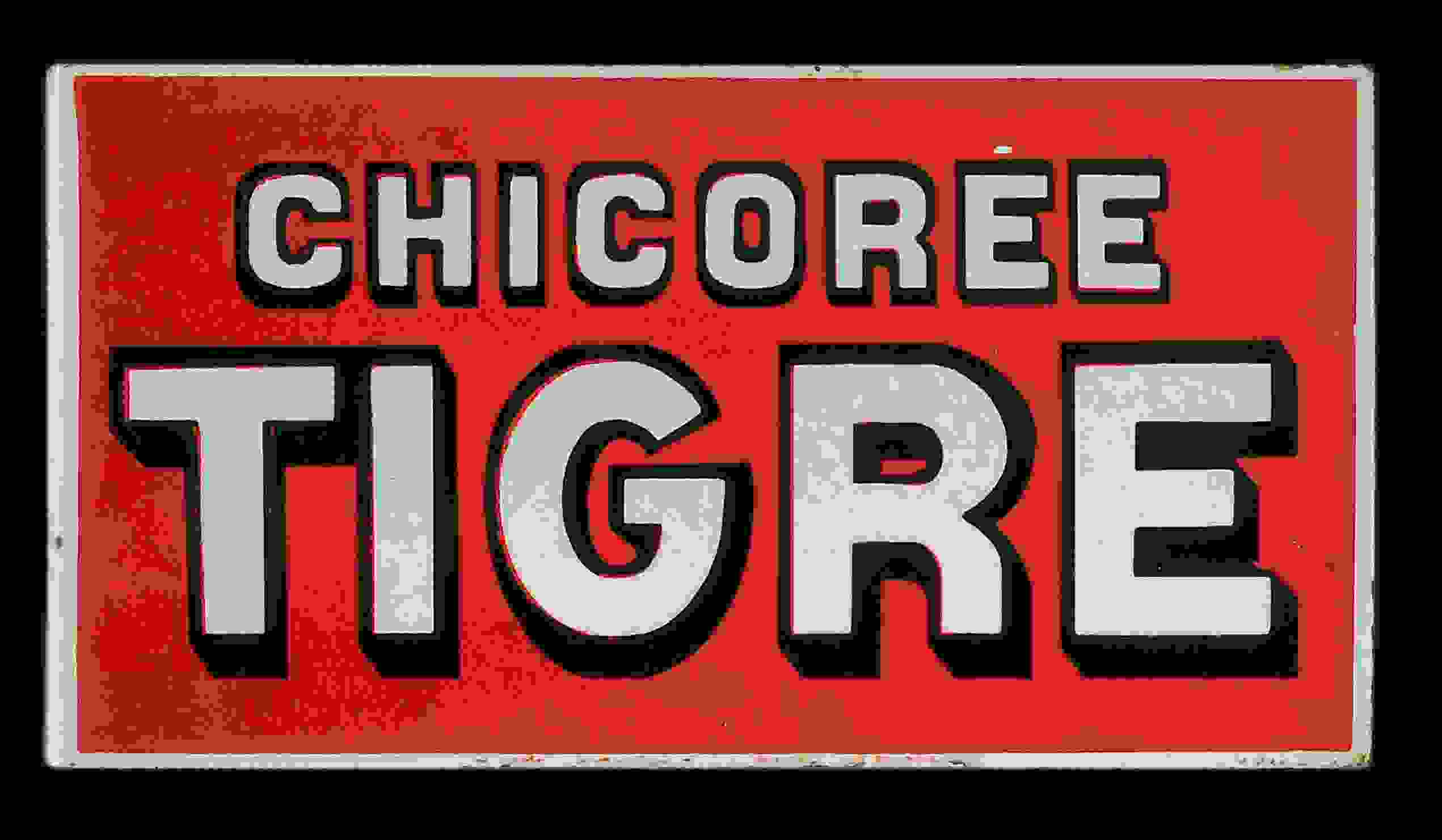 Chicorée Tigre 