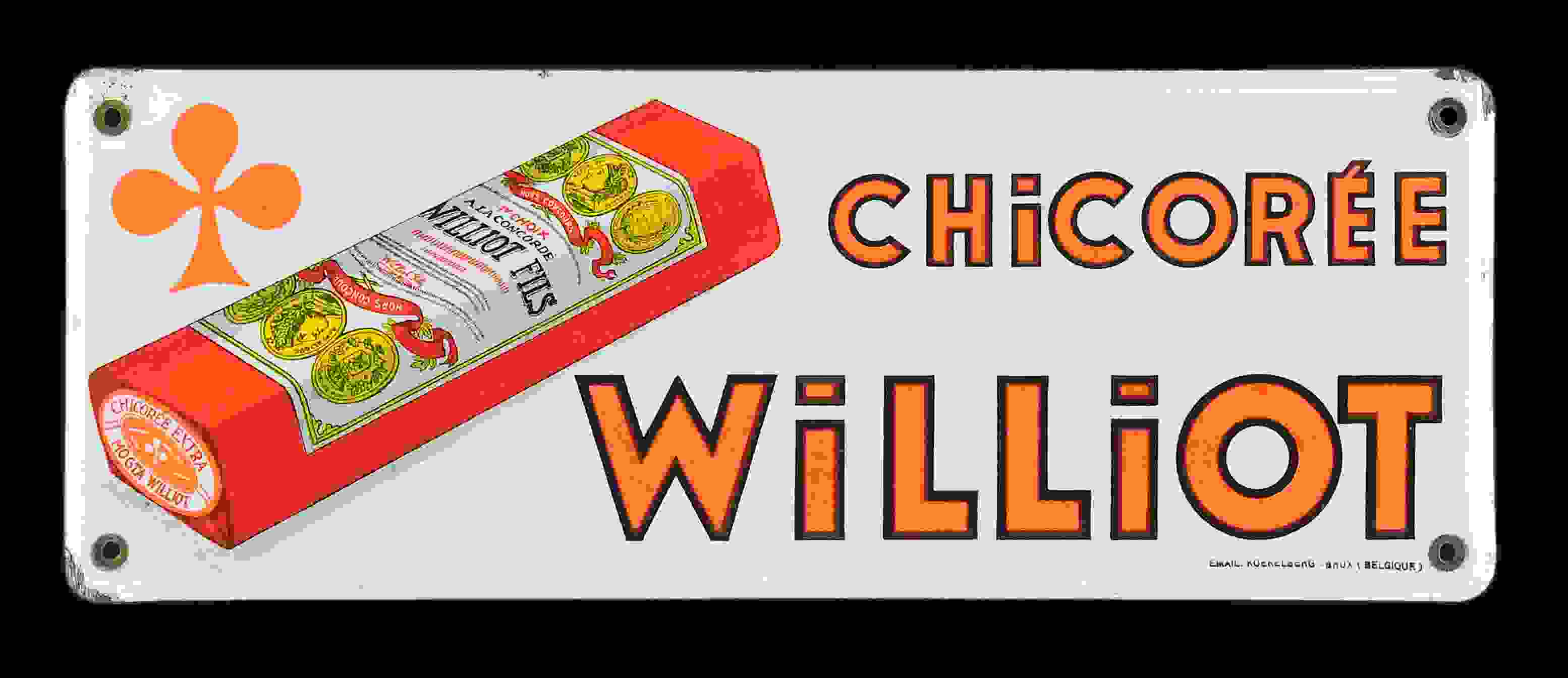 Chicorée Williot 